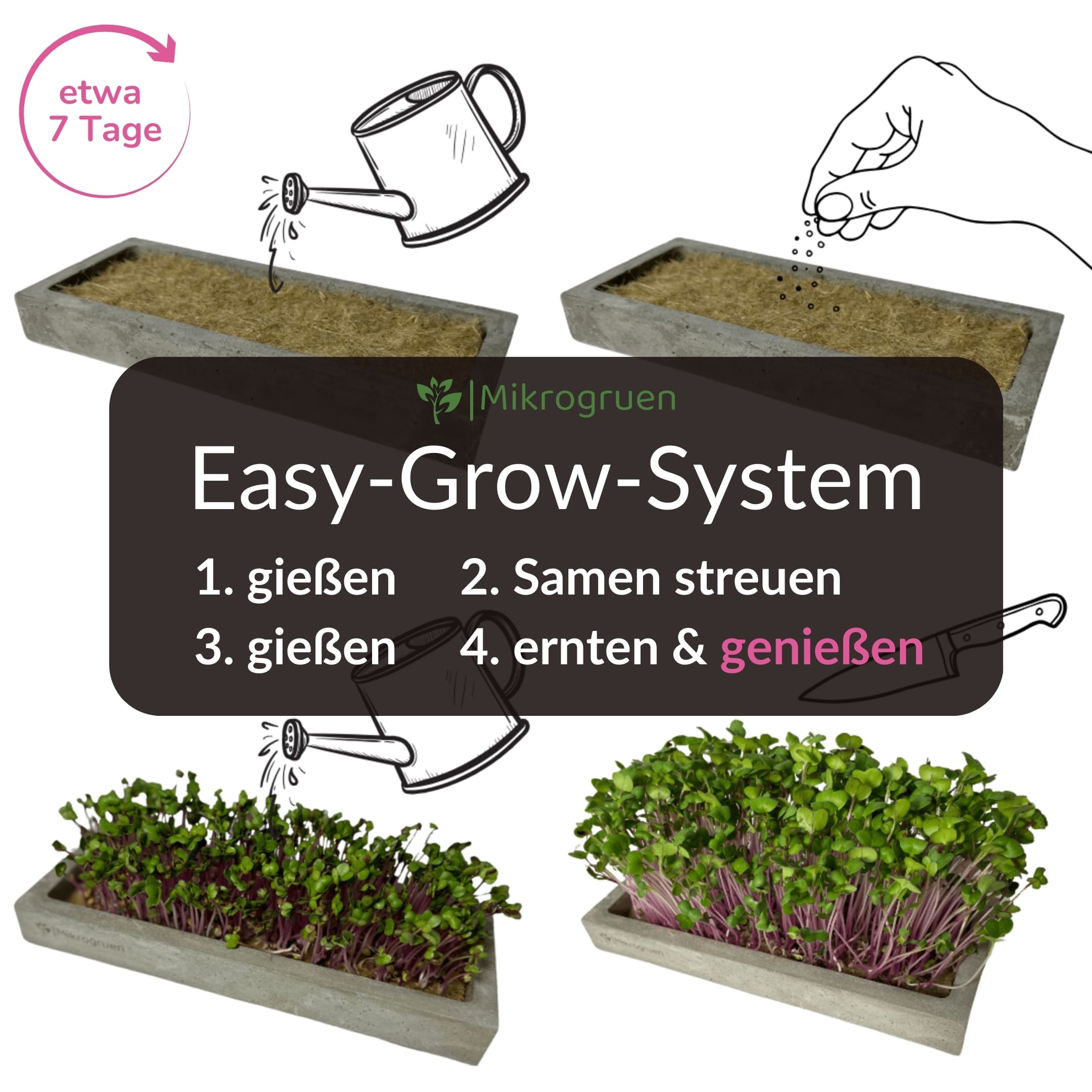 Microgreens Nachfüllset