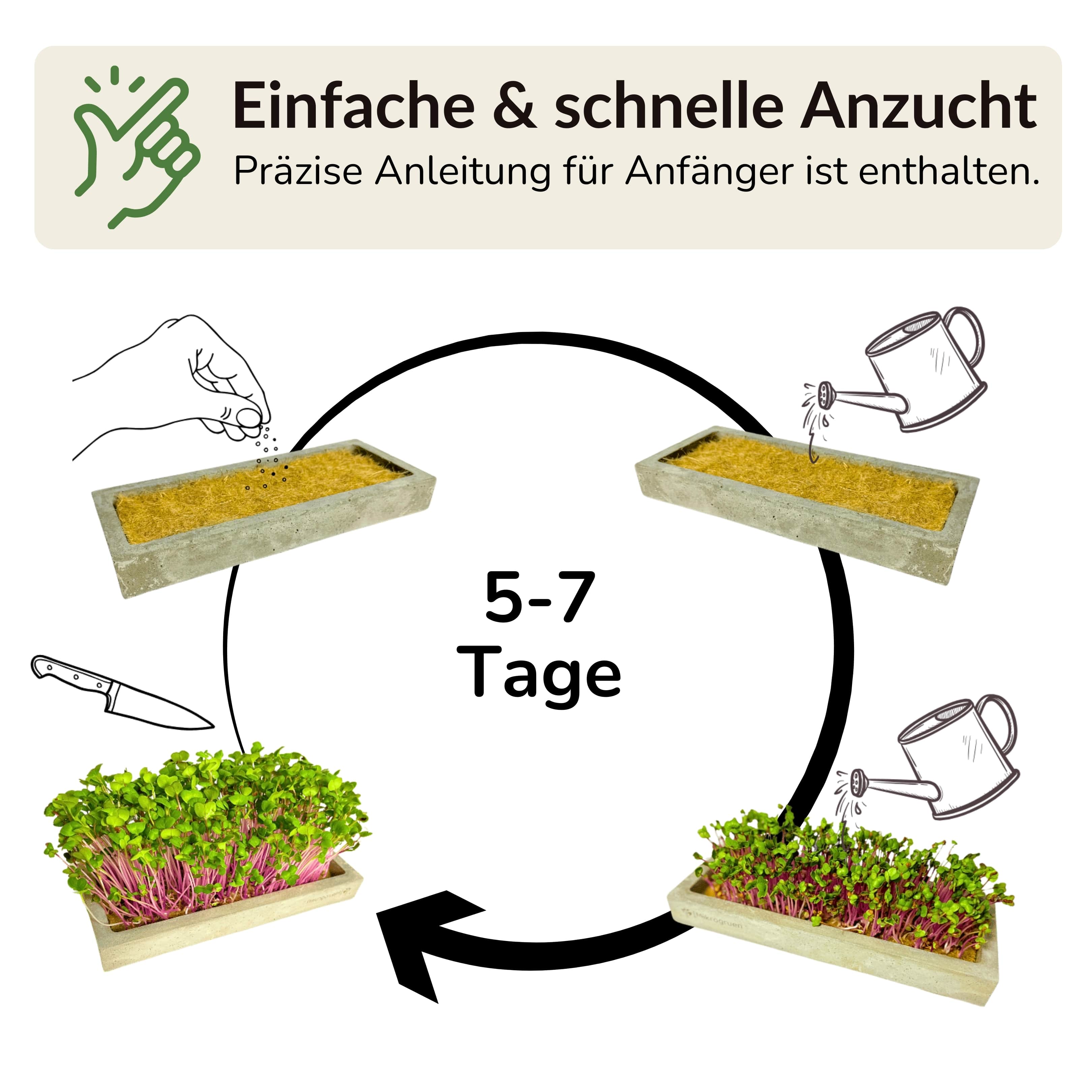 Microgreens Starter-Set