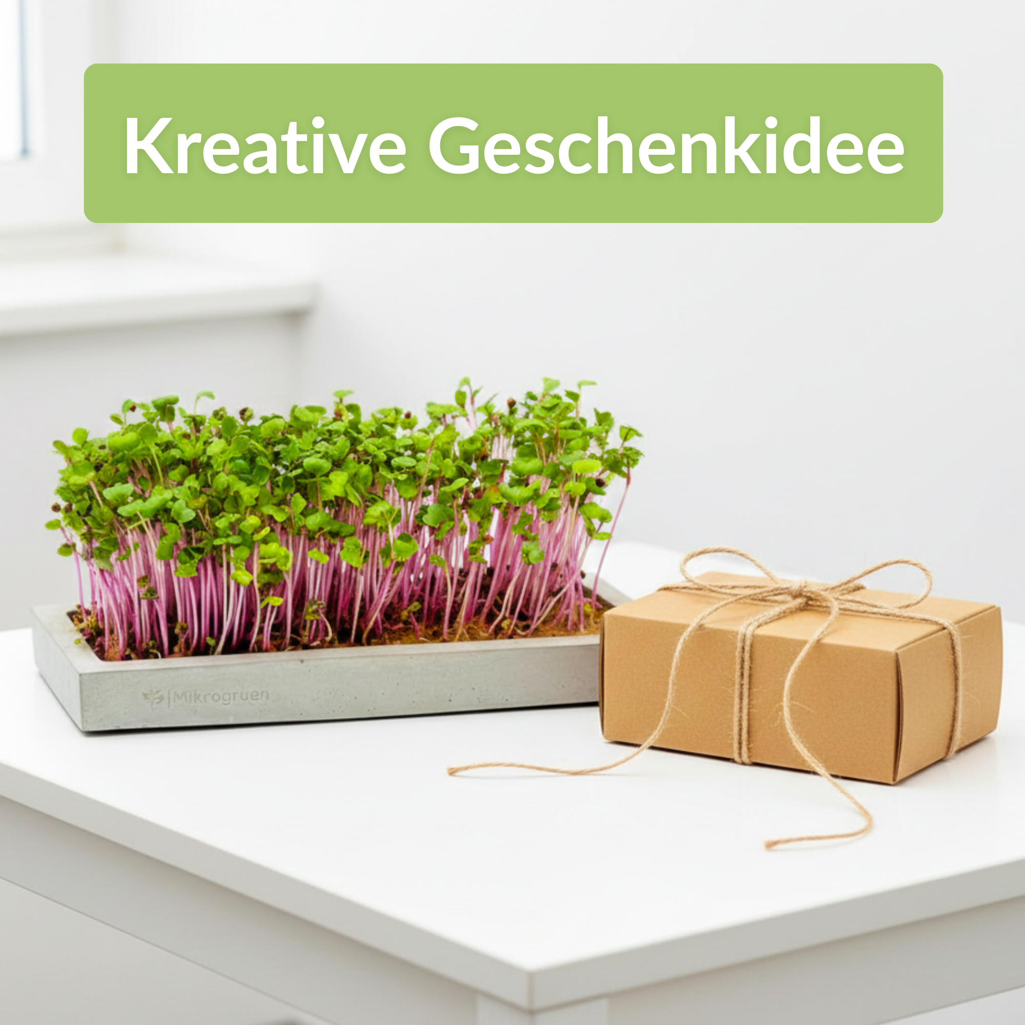 Microgreens Geschenke-Set