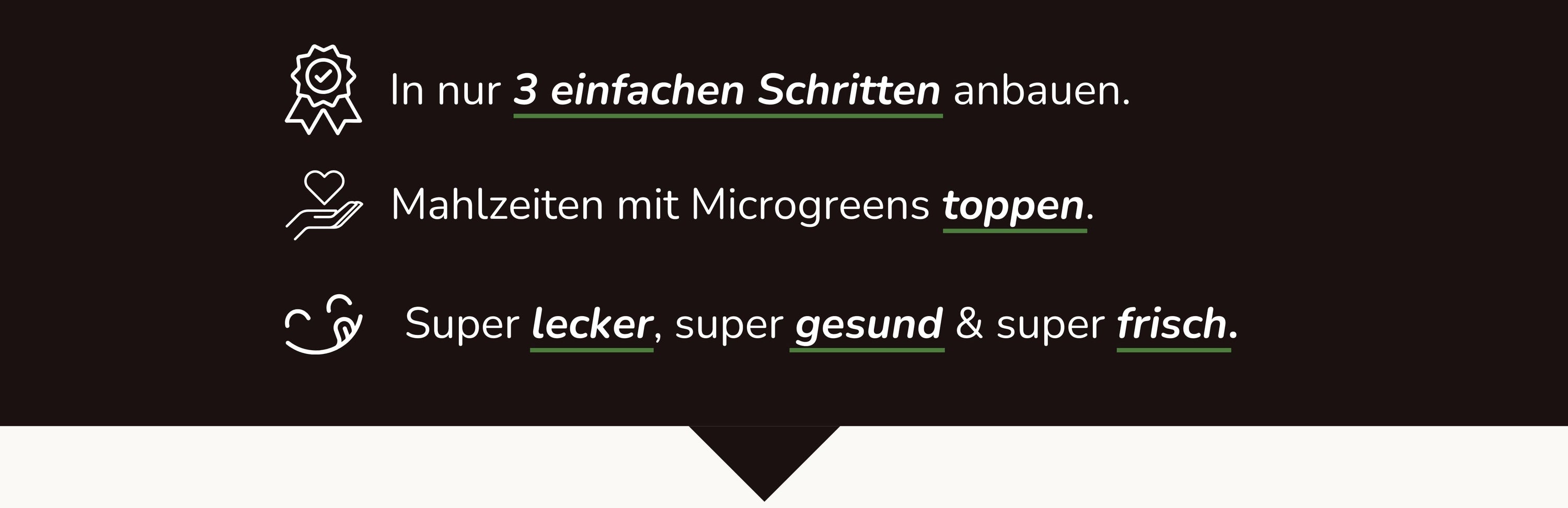 Beschreibung der Microgreensanzucht