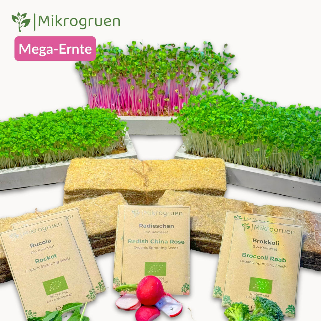 Microgreens Giga-Set - Microgreens ohne Erde anzüchten