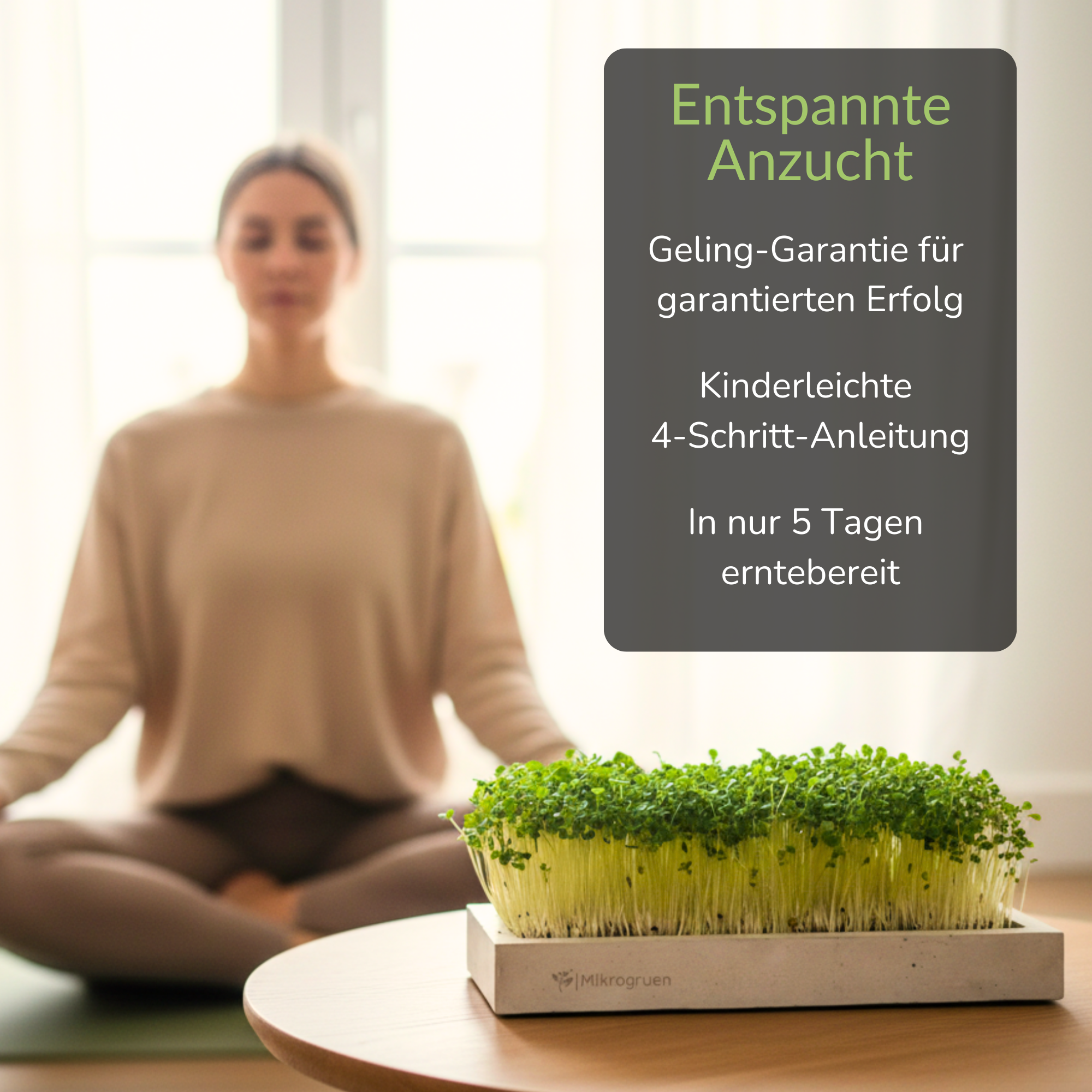 Microgreens Geschenke-Set