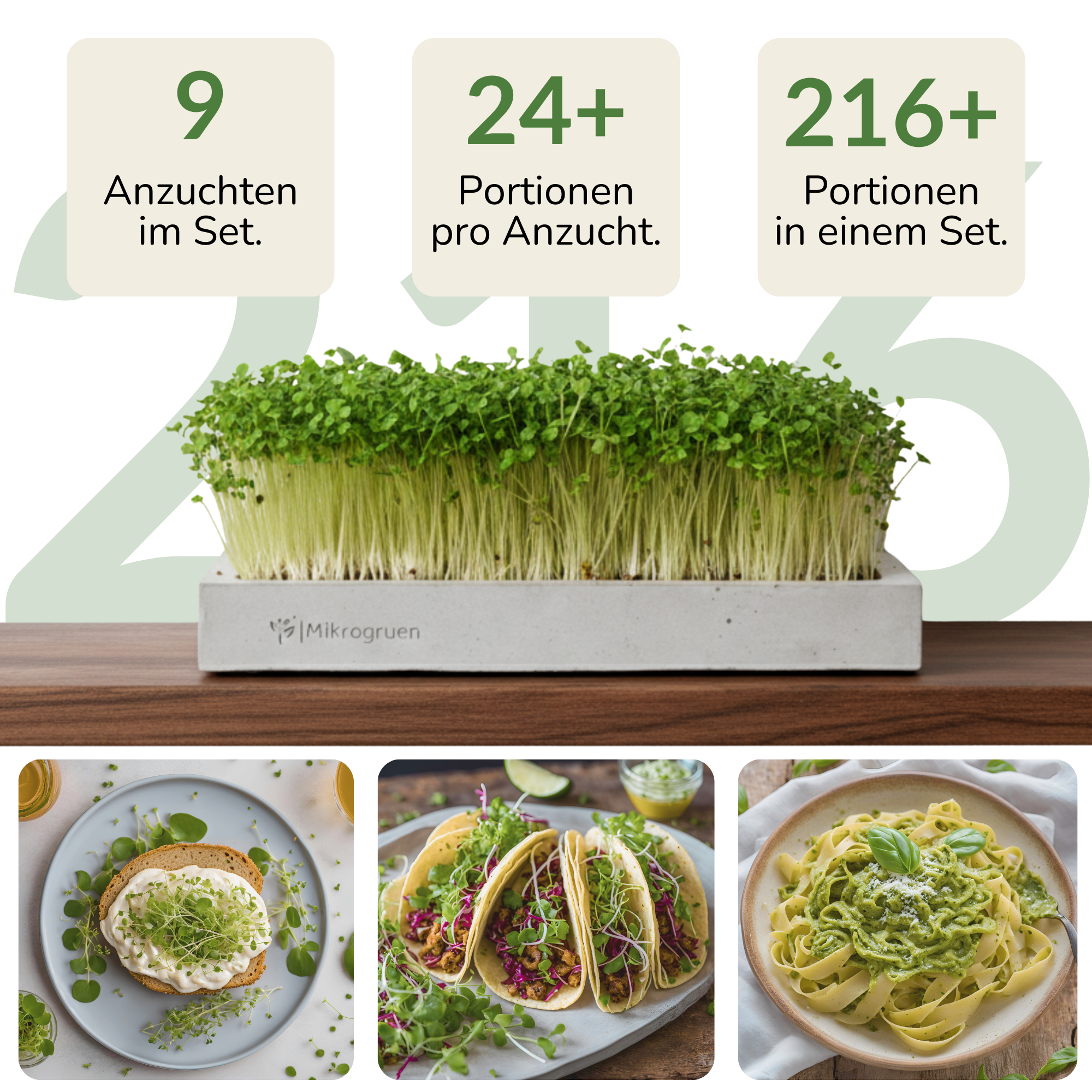 Microgreens Starter-Set
