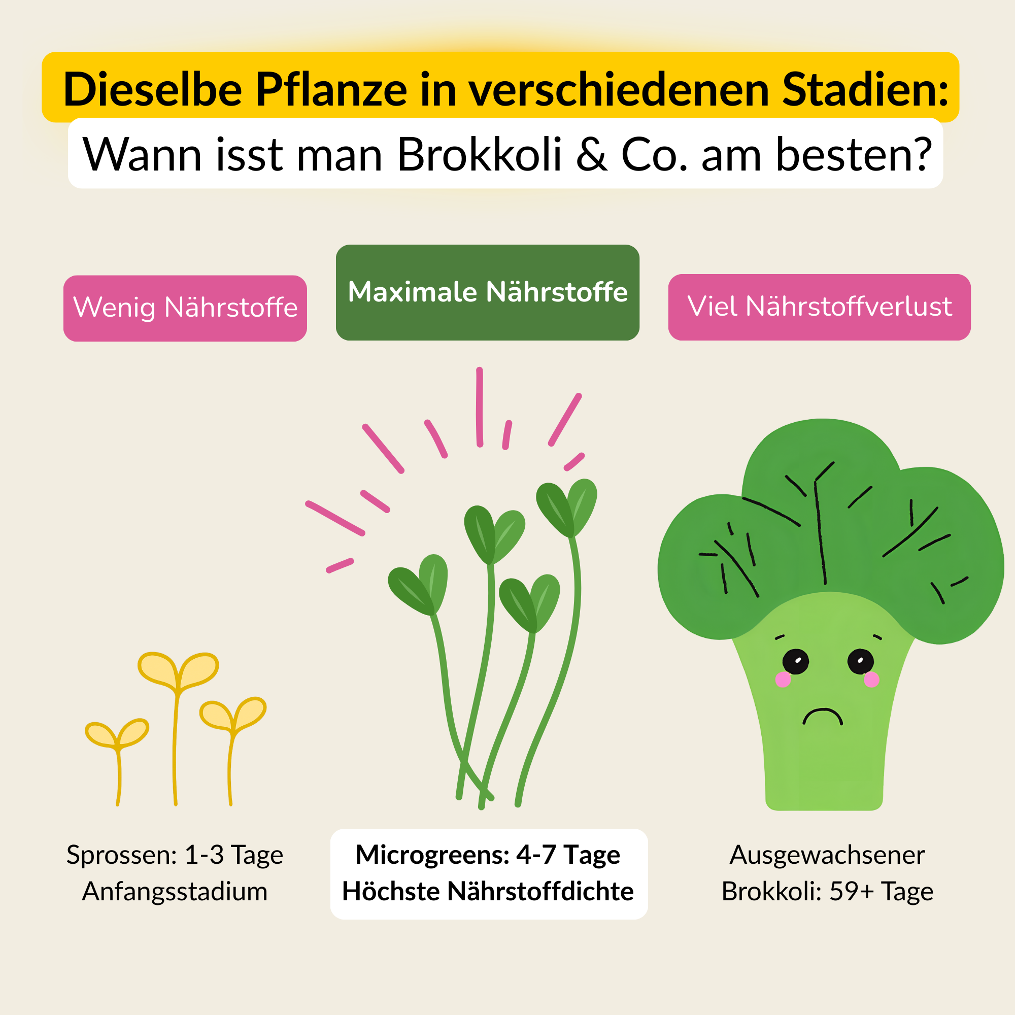 Microgreens Geschenke-Set